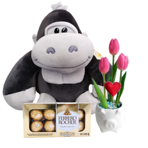 gorila-tulipanes-chocolate-fondoblanco